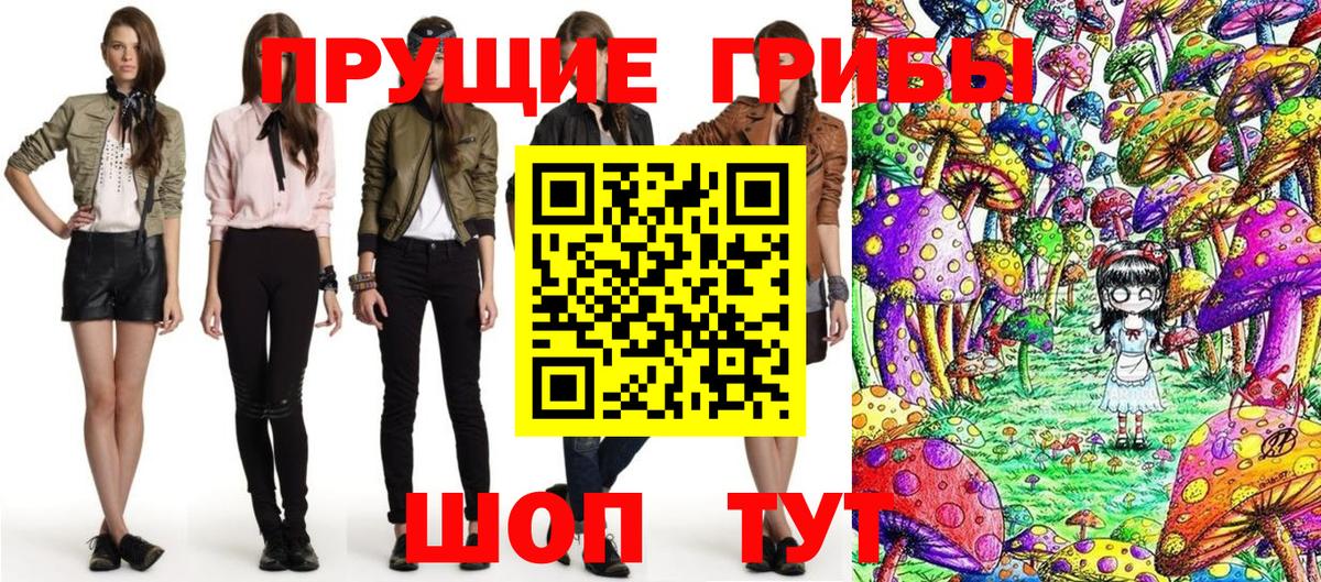 Казань  Псилоцибиновые грибы Cubensis  Вход с VPN 