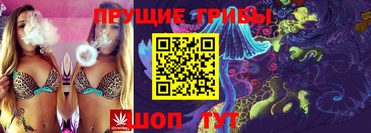 Галлюциногенные грибы GOLDEN TEACHER Казань