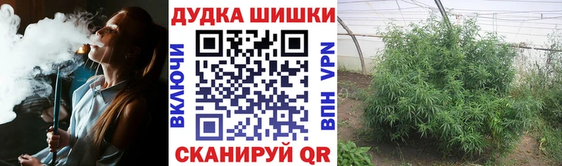 Конопля семена  даркнет сайт  Казань 